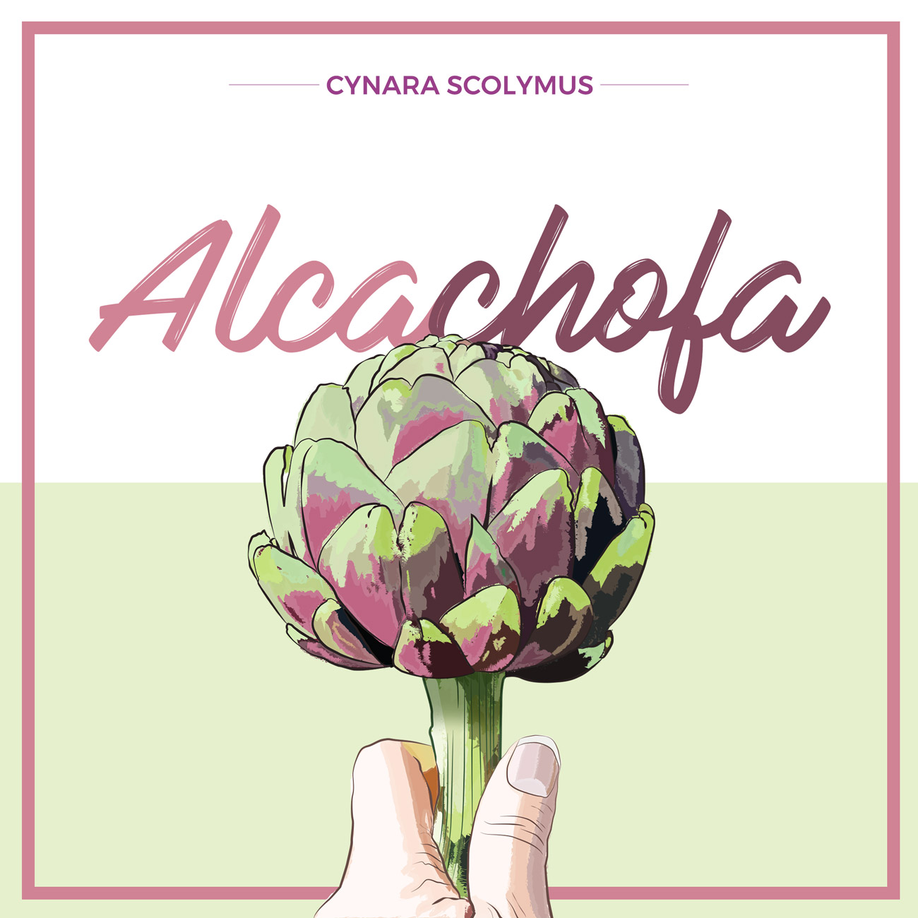 ilustración de una alcachofa