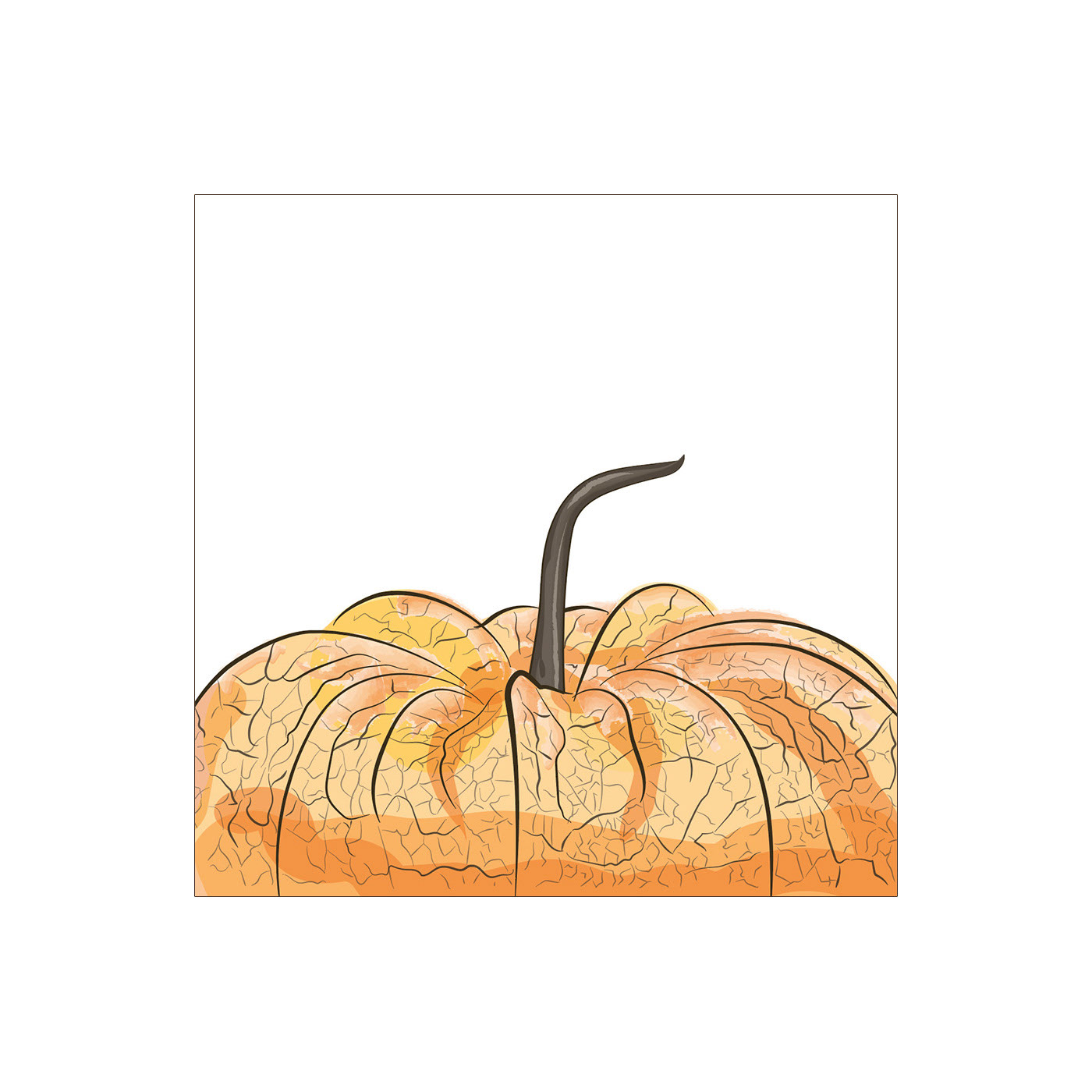 ilustración de parte superior de la uchuva