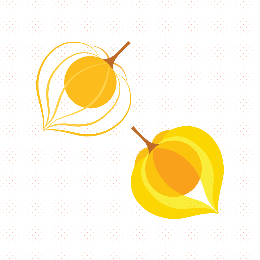 Ilustración de una uchuva, estilo minimal